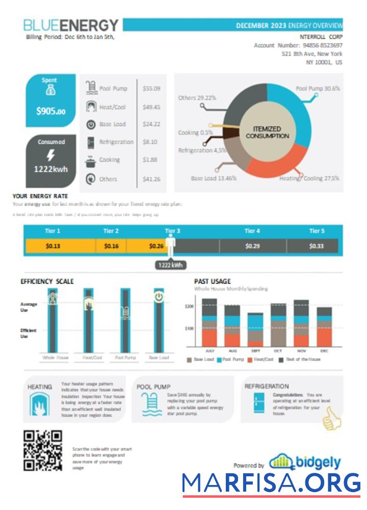Downloadable Blue Energy utility business bill, SCR sample